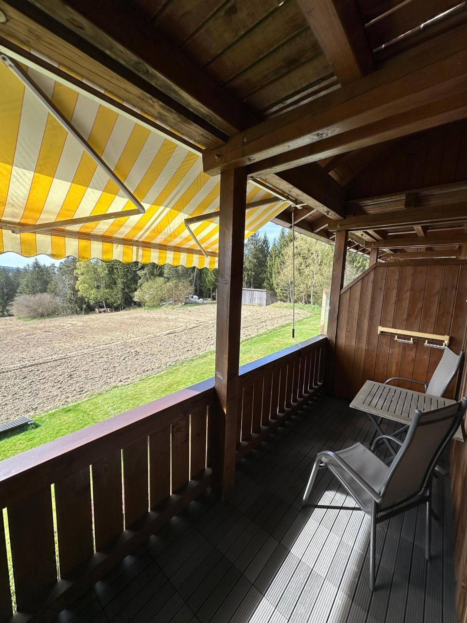 Ferienwohnung Rachel Mit Herrlichem Ausblick Rinchnach Buitenkant foto
