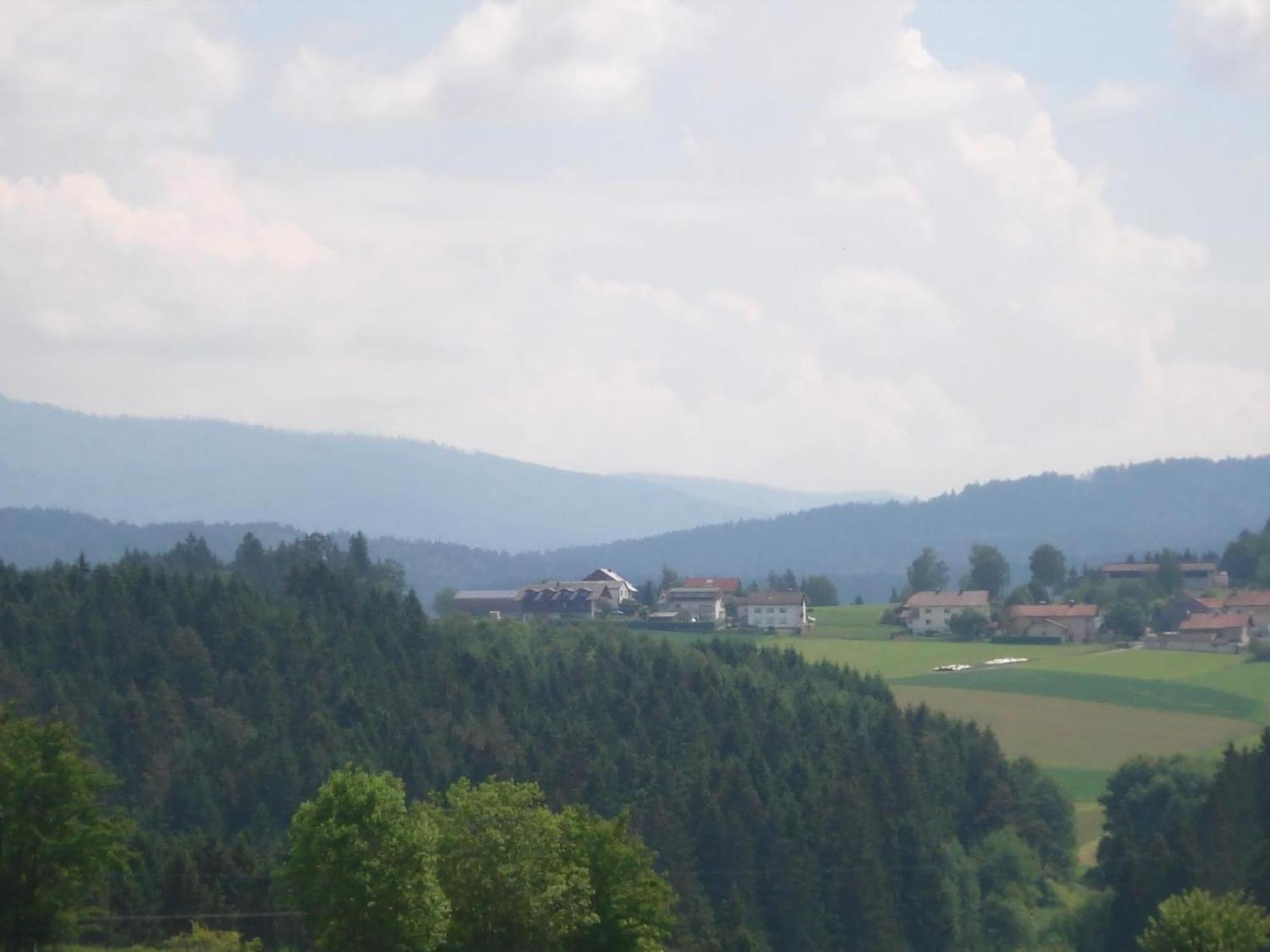 Ferienwohnung Rachel Mit Herrlichem Ausblick Rinchnach Buitenkant foto